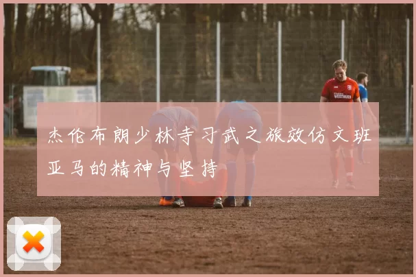 杰伦布朗少林寺习武之旅效仿文班亚马的精神与坚持
