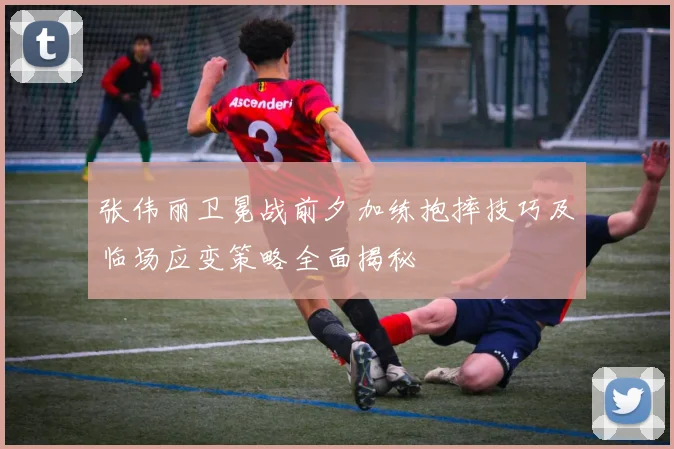 张伟丽卫冕战前夕加练抱摔技巧及临场应变策略全面揭秘